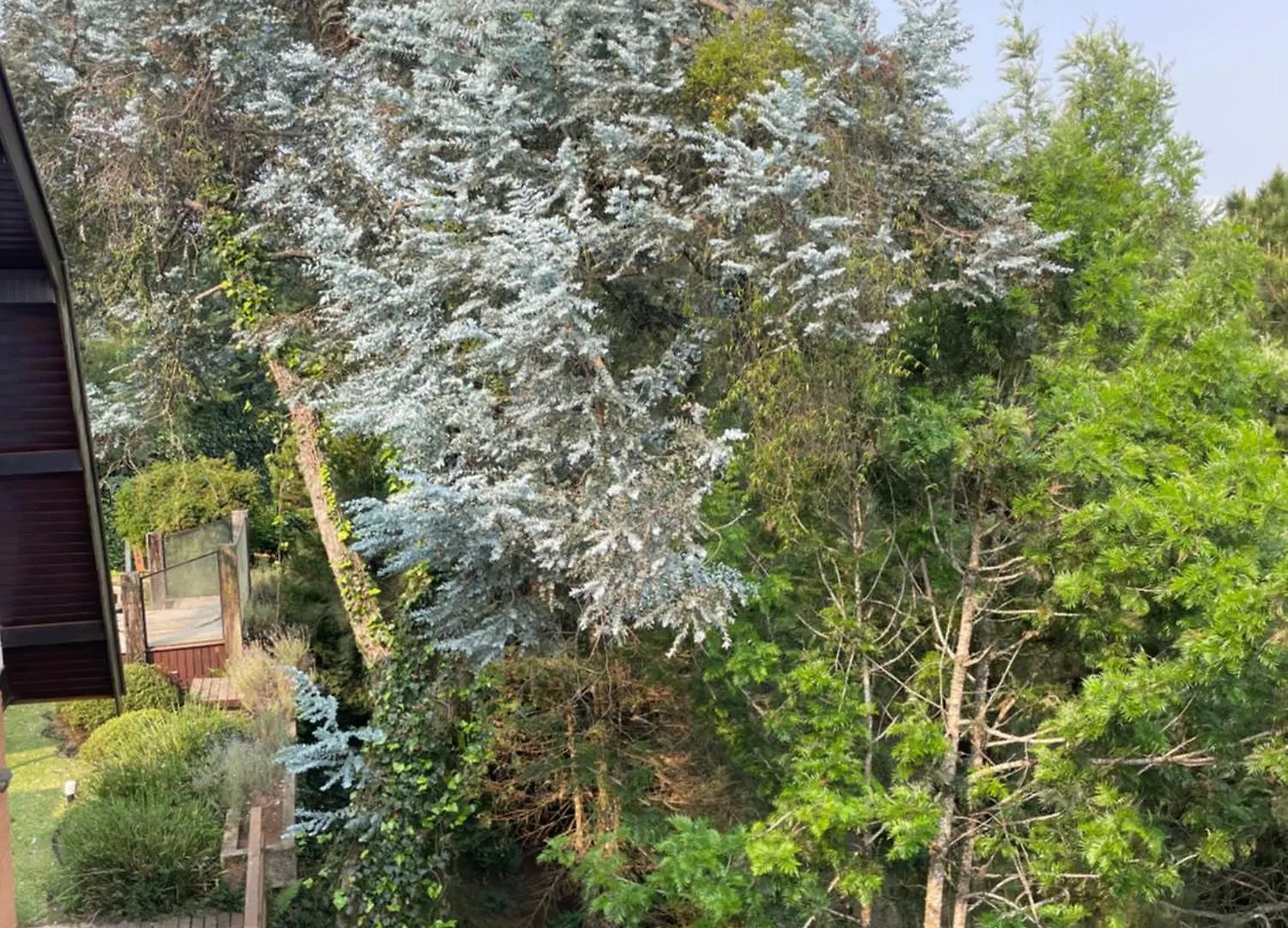 Suites Panorama Campos do Jordão